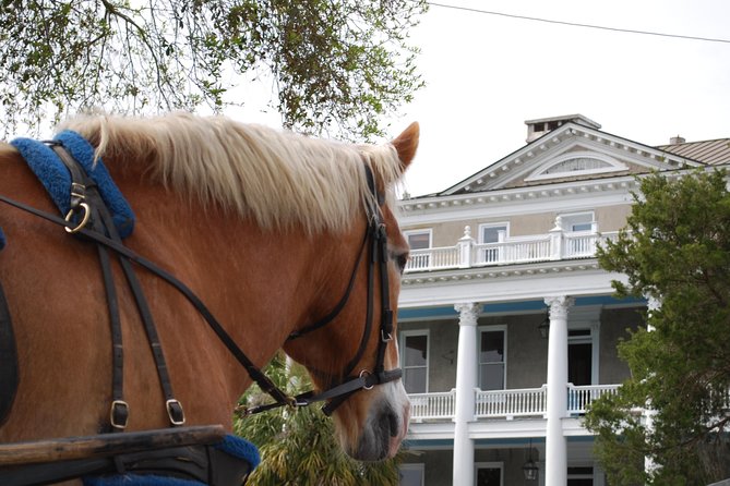 #1 Historical Horse Drawn Carriage Tour - Why a carriage is a smart first look at Beaufort