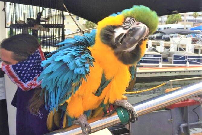 1-Hour Interactive Pirate Cruise (arrive 30 minutes early) - Key things to know before sailing