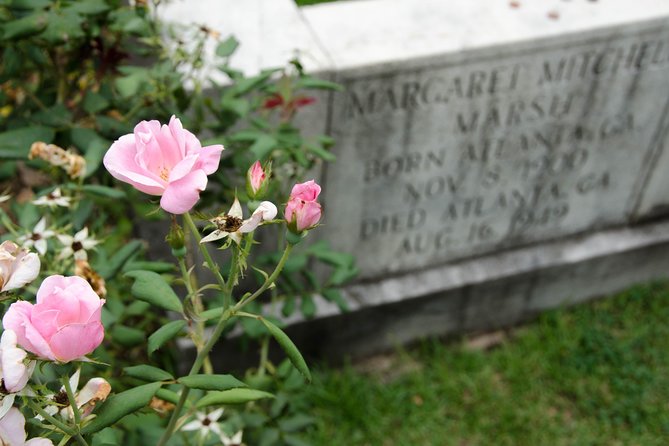 2.5 Hour Atlanta Local Food + Victorian Cemetery Tour - The Little Tart Bakeshop and the final cookies