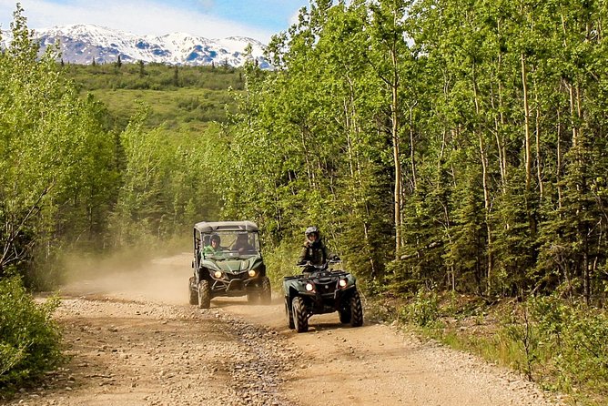 2.5-Hour Denali Wilderness ATV Adventure Tour - Who will enjoy this ride most?