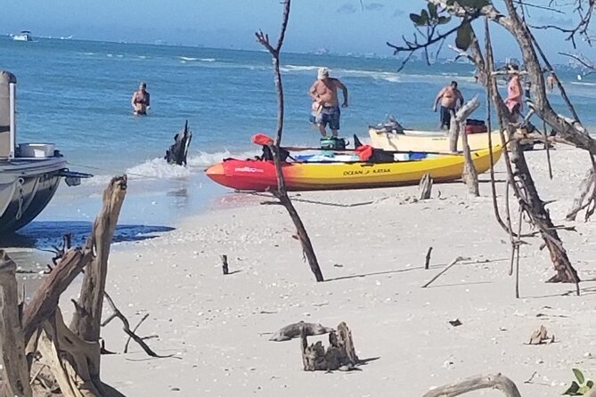 2.5-Hour Guided Group Kayak Tour on Big Hickory Pass - The beach stop and shell hunting