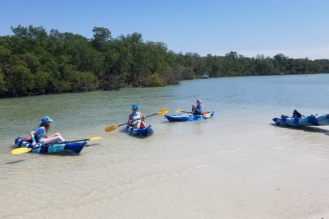 2.5-Hour Guided Group Kayak Tour on Big Hickory Pass - Is $55 a fair price?