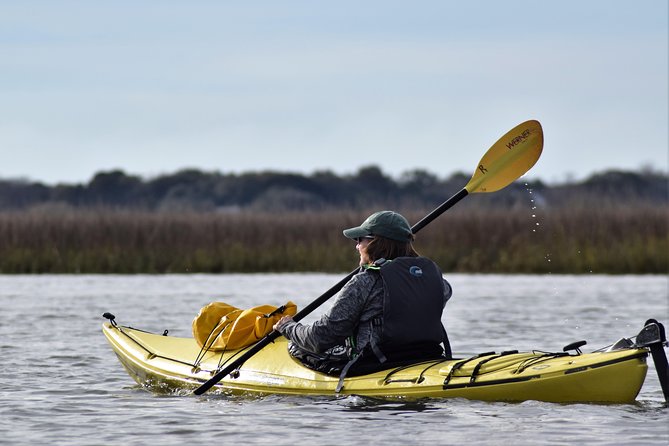 2-Hour Guided Kayak Eco Tour in Charleston - Beginning at Charleston Outdoor Adventures on Bowens Island