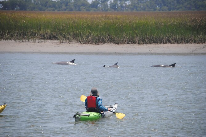 2-Hour Guided Kayak Eco Tour in Charleston - Who should book this kayak tour