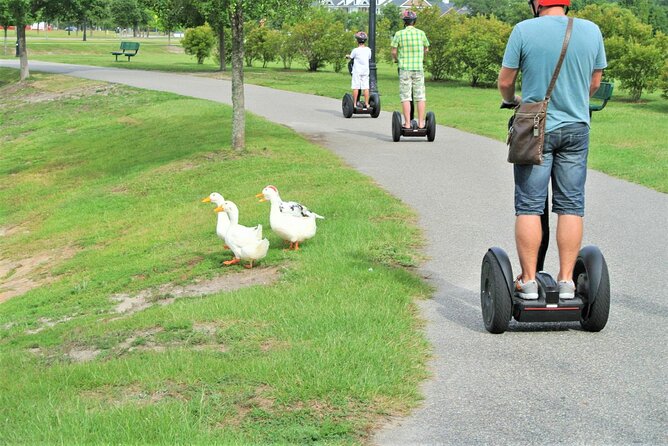 2-Hour Guided Segway Tour of Huntington Beach State Park in Myrtle Beach - Atalaya Castle, a separate stop with its own fee
