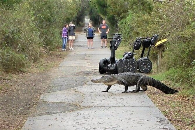 2-Hour Guided Segway Tour of Huntington Beach State Park in Myrtle Beach - Who will enjoy this tour most