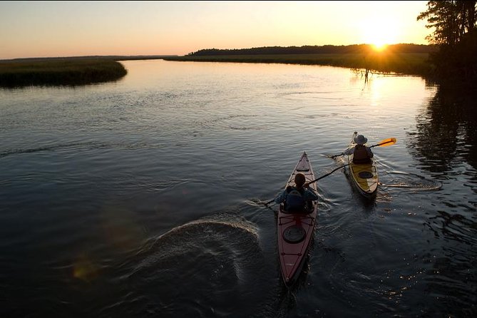 2-Hour Hilton Head Guided Kayak Nature Tour - What the naturalist guide adds