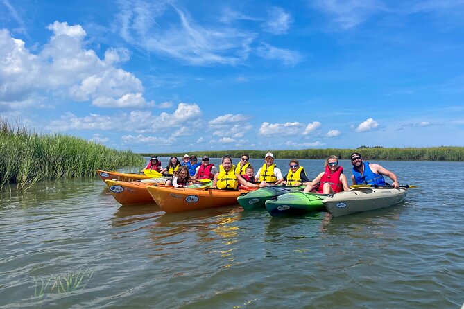 2-Hour Hilton Head Guided Kayak Nature Tour - Dolphins and other wildlife sightings