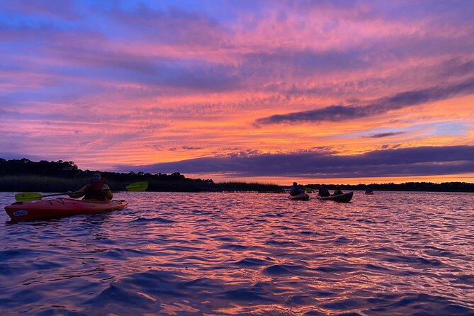 2-Hour Hilton Head Guided Kayak Nature Tour - Choosing the time of day