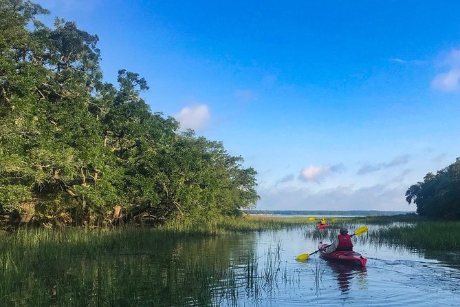 2-Hour Hilton Head Guided Kayak Nature Tour - Families, beginners, and older paddlers