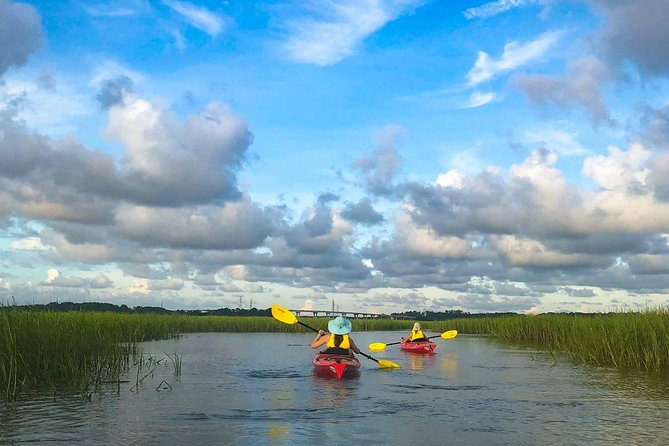 2-Hour Hilton Head Guided Kayak Nature Tour - Starting at Shelter Cove Marina