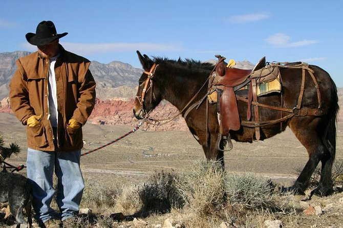 2-Hour Horseback Riding through Red Rock Canyon - How long the experience really takes