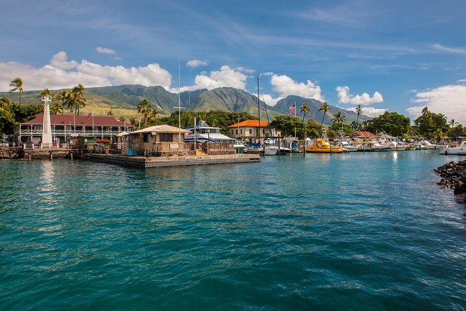 2-Hour Oahu Whale Watch from Ala Wai Harbor, Waikiki - Why this Waikiki whale cruise makes sense