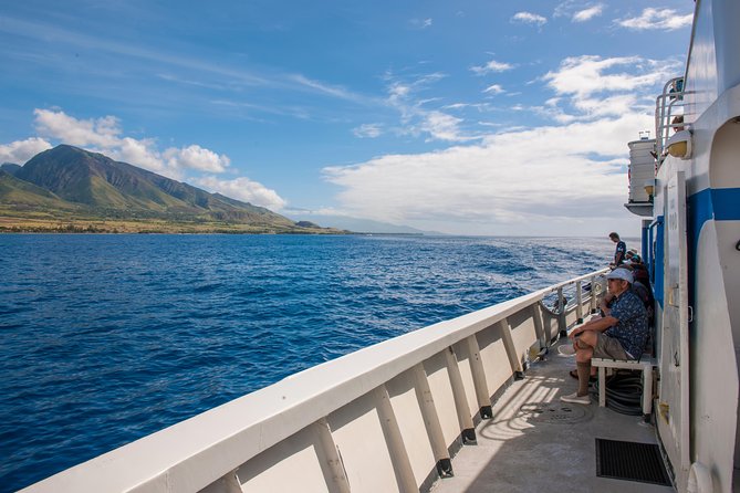 2-Hour Oahu Whale Watch from Ala Wai Harbor, Waikiki - Diamond Head from the sea