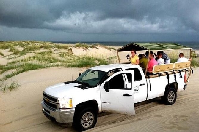 2-hour Outer Banks Wild Horse Tour by 4WD Truck - Why Corolla’s horses make this ride special