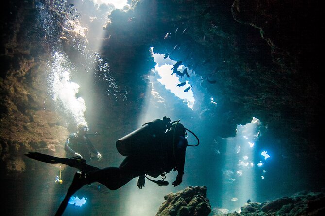 2 Tank Lanai Cathedral Scuba Dive Via Boat for Certified Divers - Key things to know before booking