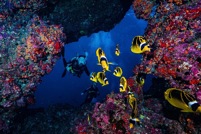 2 Tank Lanai Cathedral Scuba Dive Via Boat for Certified Divers - The boat crossing brings views and wildlife