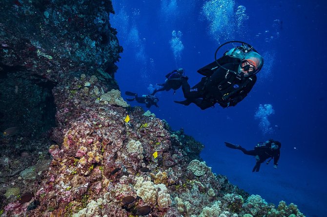 2 Tank Lanai Cathedral Scuba Dive Via Boat for Certified Divers - What happens at the first underwater site
