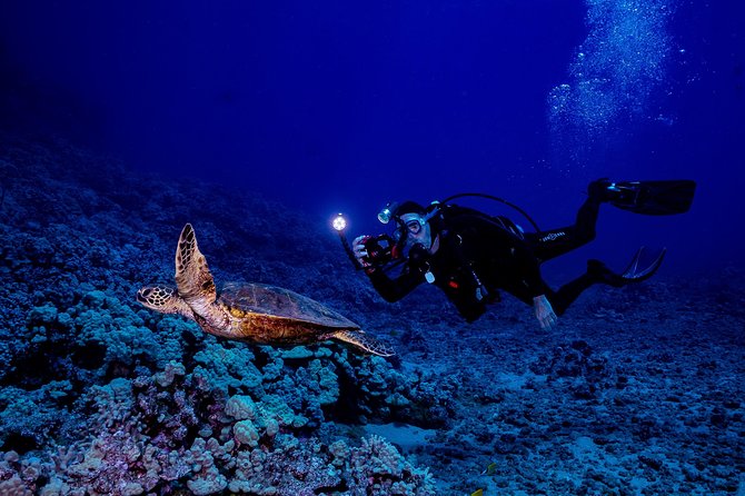 2 Tank Lanai Cathedral Scuba Dive Via Boat for Certified Divers - The surface interval and light snack