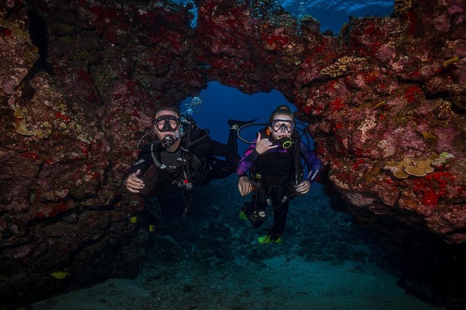 2 Tank Lanai Cathedral Scuba Dive Via Boat for Certified Divers - Guides, safety, and group size