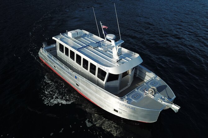 3.5 Hour Crowd-Skipping Whale Tour in Juneau, Alaska - Why the 20-person boat changes whale watching