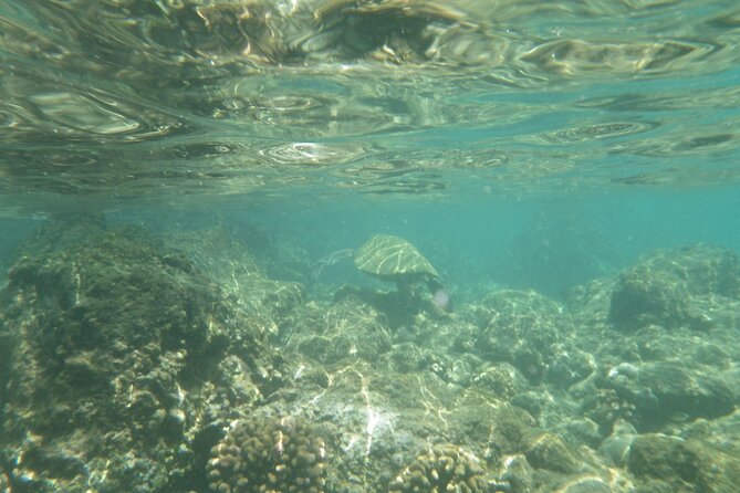 3.5 Hour Kailua-Kona Ocean Kayak and Snorkel Tour - How the small group changes the experience