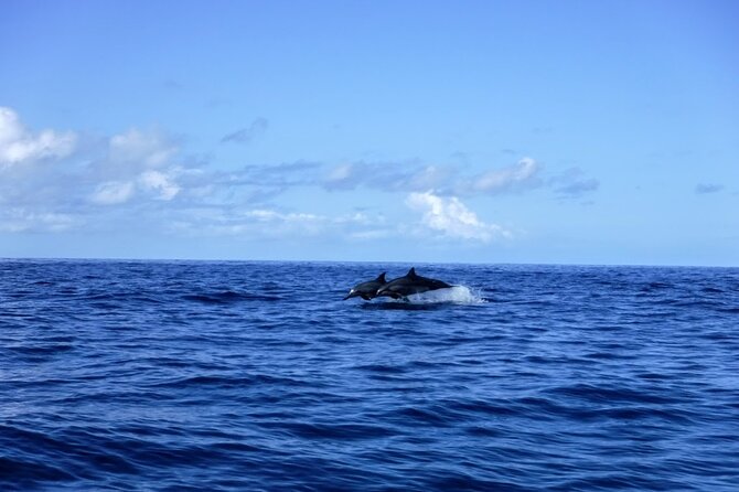 3.5 Hour Kailua-Kona Ocean Kayak and Snorkel Tour - Physical demands, seasickness, and practical comfort