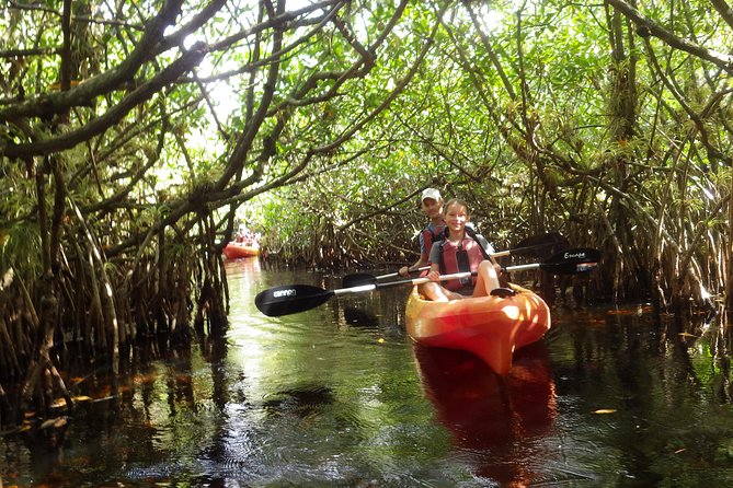 3 Hour Guided Mangrove Tunnel Kayak Eco Tour - The guide is a big part of the value