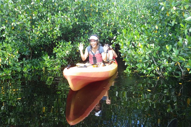 3 Hour Guided Mangrove Tunnel Kayak Eco Tour - Who should book this kayak tour