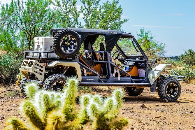 3 Hour Guided TomCar ATV Experience in Sonoran Desert - The ride is rough, and that is the main decision point
