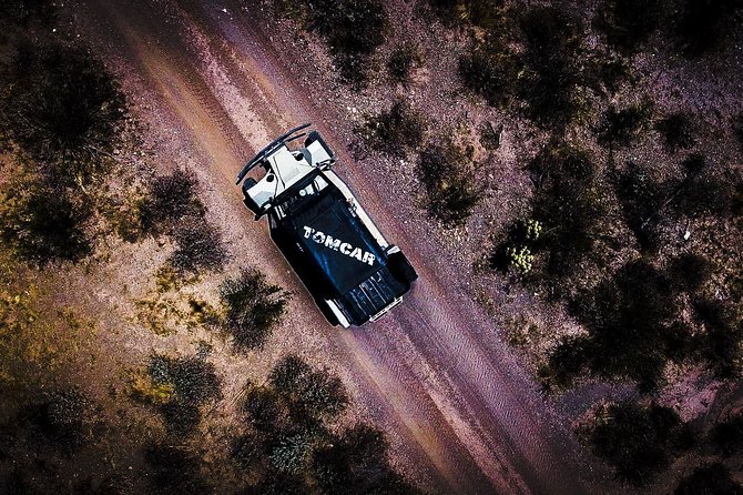 3 Hour Guided TomCar ATV Experience in Sonoran Desert - What the guides add to the drive