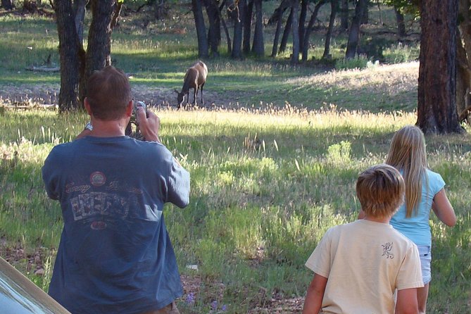 3 Hour Off-Road Sunset Safari to Grand Canyon with Entrance Gate Detour - Wildlife: a welcome bonus, not the main event