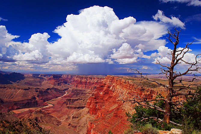 3 Hour Off-Road Sunset Safari to Grand Canyon with Entrance Gate Detour - Is $133.34 a fair price?