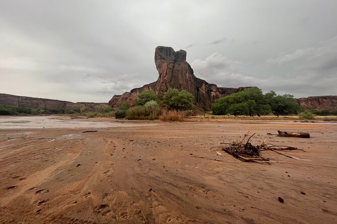 3-hour Private Tour - Cliff dwellings, rock art, and older stories