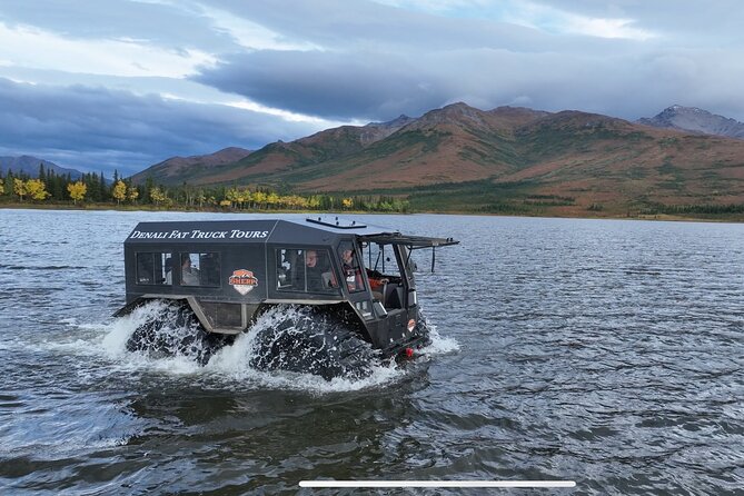 3 Hour SHERP Tour: Denali Fat Truck Tours - What the SHERP ride is really like