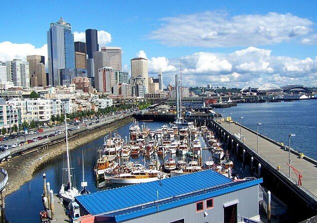 3 Hour Show Me Seattle Best Of The City Tour - What the small minibus changes
