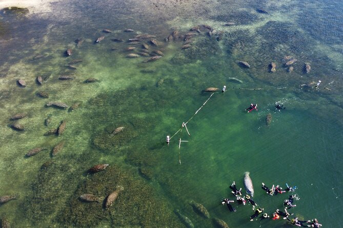 3 hours Manatee Swim Tour in Florida - Gear, cold water, and the changing rooms