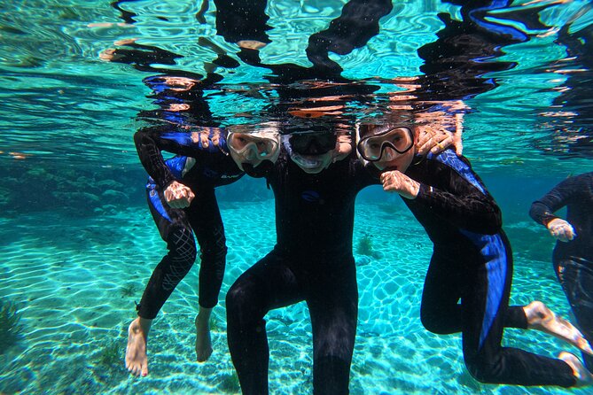 3 hours Manatee Swim Tour in Florida - Is $74.99 good value?