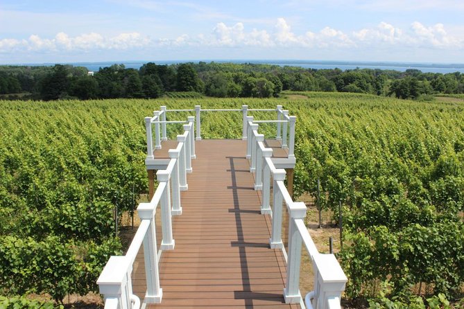 5-Hour Traverse City Wine Tour: 4 Wineries on Old Mission Peninsula - Stop two: Bowers Harbor Vineyards and broad wine choices