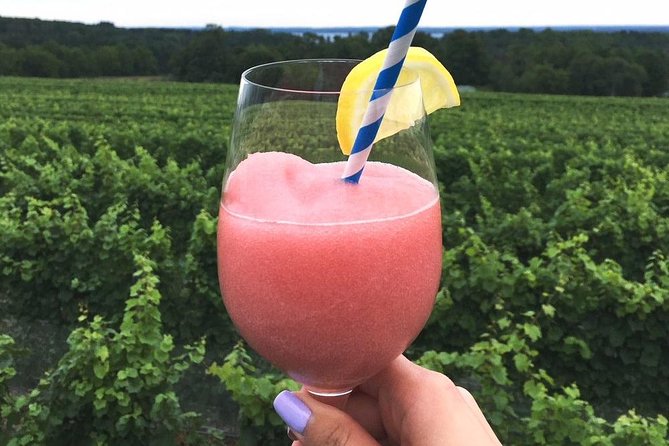 5-Hour Traverse City Wine Tour: 4 Wineries on Old Mission Peninsula - What $79 really buys you