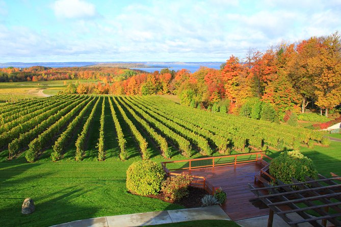5-Hour Traverse City Wine Tour: 4 Wineries on Old Mission Peninsula - Starting at the Civic Center