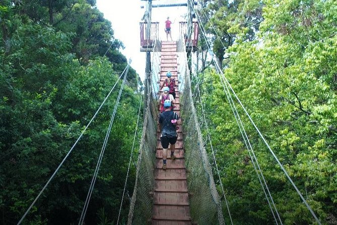 6 Dual-Zipline Mountain Adventure in Maui - Why the small group matters