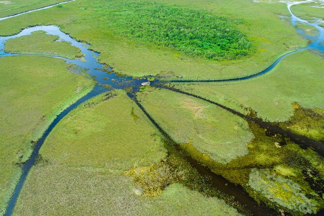 60 min. Everglades Airboat ride & pick-up ,small group +pro guide - From Miami streets to the River of Grass