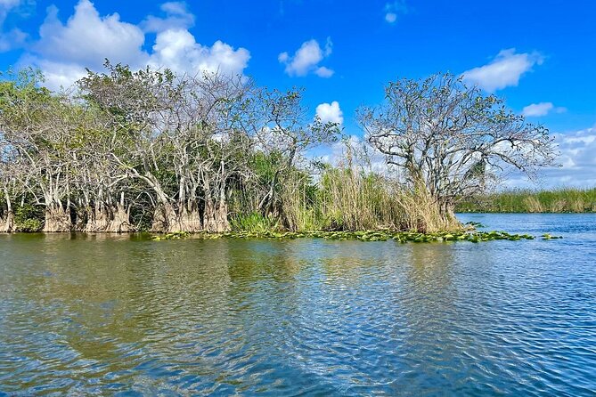 60 min. Everglades Airboat ride & pick-up ,small group +pro guide - The 20-minute wildlife show