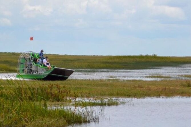 60 Minutes Small Group Everglades Airboat Ride in Miami - Alligators, turtles, birds, and the living wetland
