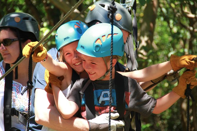 7-Line Maui Zipline on the North Shore - Seven lines, eucalyptus trees, and the real views
