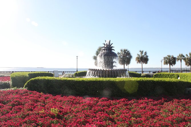 90-Minute Charleston City Sightseeing Bus Tour - Why this bus tour is a smart first look at Charleston