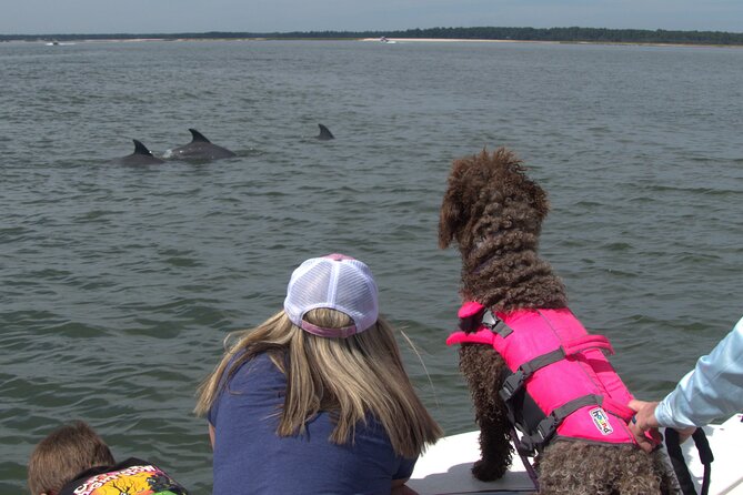 90-Minute Private Dolphin Tour in Hilton Head Island - Why this private Hilton Head trip feels different