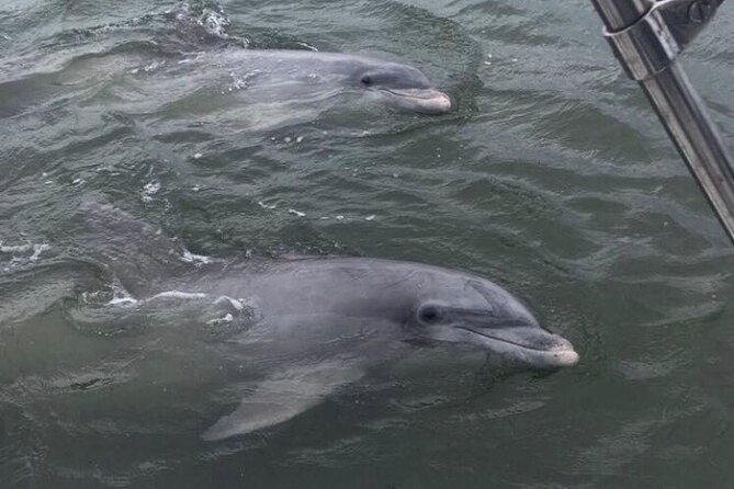 90-Minute Private Dolphin Tour in Hilton Head Island - Lighthouse views and the water around Daufuskie Island