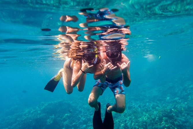Afternoon Sail & Snorkel to the Captain Cook Monument - Snorkeling near the Captain Cook Monument